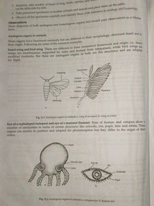 Biology Lab Manual For Class 12