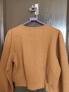 Brown Textured Cropped Sweatshirt
