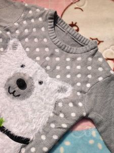 Cute Furry Dog Sweater Swap Possible