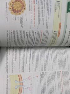 Essentials of Physiology for Dental Students