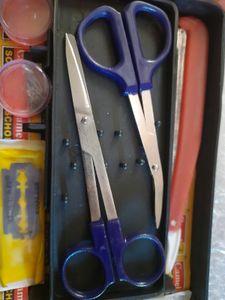 camel dissection kit