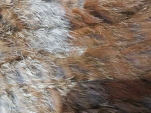 Fur crop jacket
