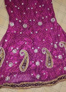 Elegant Lehenga Choli