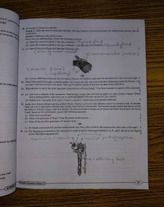 Class 10th CBSE Science 15 Sample Papers