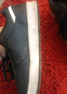 TOMMY HILFIGER BLUE Sneakers