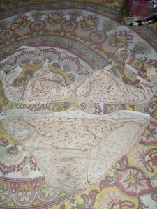 bra and panty