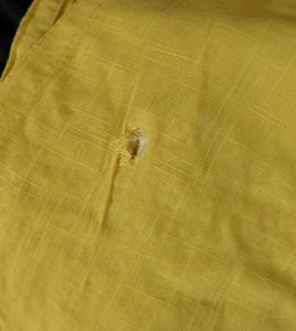 Vibrant Yellow Chikankari Kurta