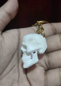Skull Keychain Set