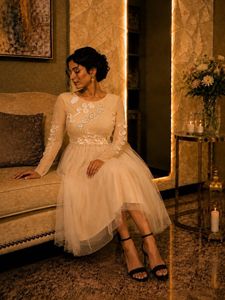 Elegant Lace Detail Tulle Gown