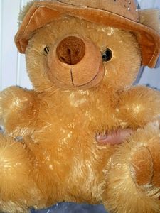 Cute Teddy Bear with Hat
