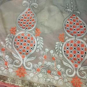 Elegant Indian Sari