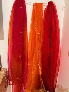 Pack of three Vibrant Ombre organza Dupatta