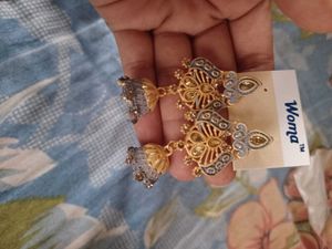 2 Beautiful Earrings