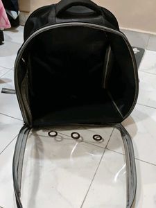 Transparent Cat Bubble Backpack