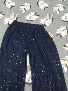 Embroidered Navy Blue Palazzos