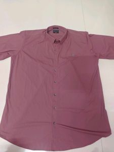 Friendly Lion Limited Edition Shirt