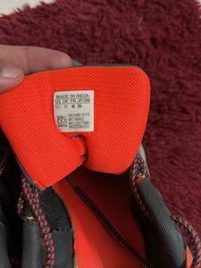 Adidas Men Trekking Shoes