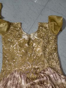 Elegant Ethnic Gown