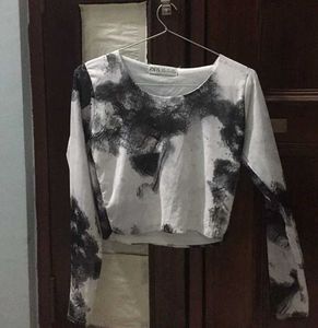 ZARA Mesh full sleeve crop top