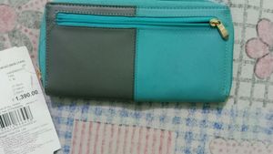 Baggit Brand zipper Clutch