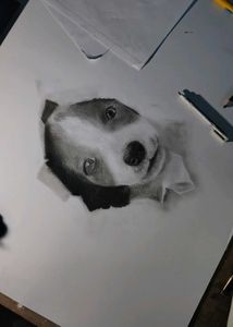 Cute Puppy Pencil Sketch