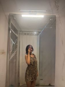 Leopard Print Mini Dress