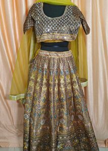 Embroidered Lehenga Choli Set