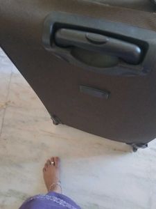 Safari Luggage Bag