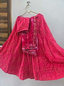 rani Pink Embroidered with sequins Lehenga Choli S