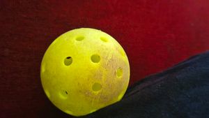 Pickleball Ball