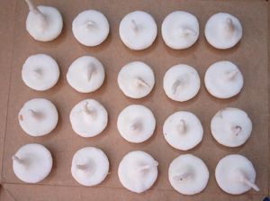 Pratha Ghee Vati Candles