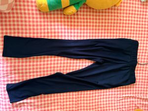 Puma Navy Blue  Pants