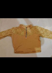 Designer Blouse Collection