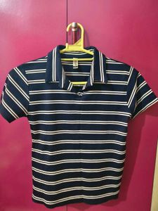 Navy & White Striped Polo Shirt