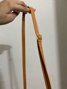 Baggit Tan Crossbody Sling Bag | Adjustable Strap