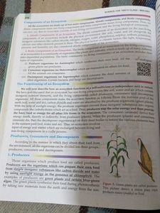 Science for Tenth Class: Biology