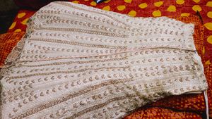 Heavy Lehnga With Backless Blouse And Dupatta.