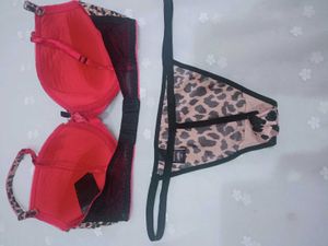 Leopard Print Bra &amp; Panty Set