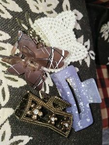 Pack Of 4 Hair Clips