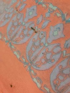 Elegant Peach Printed Saree