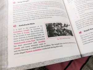 Indian Art &amp; Culture Book