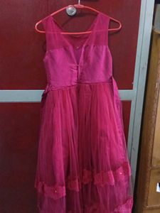 Fuchsia Embellished Net Gown