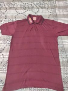 Maroon Striped T-Shirt