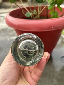 Zara Elegantly Tokyo Perfume 8ml