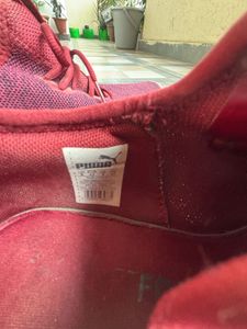 Puma Maroon  Sneakers