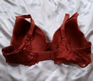 new Rust Bra