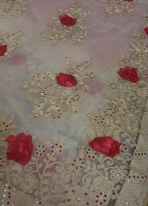 Beautiful Net Saree