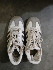 Sambas