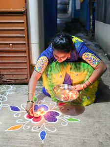 Festive Embroidered Saree