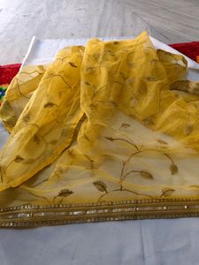 VERY Beautiful Net Dupatta